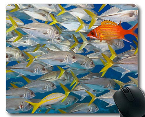 Preisvergleich Produktbild Mauspad, Ozeanfischthema einzigartiger Gaming-Mauspads