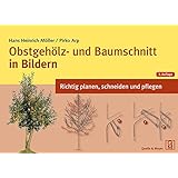 Obstgehölz- und Baumschnitt in Bildern: Richtig planen, schneiden und pflegen