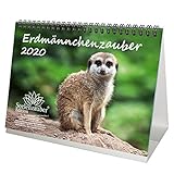 Erdmännchenzauber DIN A5 Tischkalender 2020 Erdmännchen - Seelenzauber by