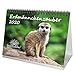 Erdmännchenzauber DIN A5 Tischkalender 2020 Erdmännchen - Seelenzauber by