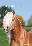 Pferde 2016 - Horses - Bildkalender (24 x 34) - Tierkalender by