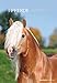 Pferde 2016 - Horses - Bildkalender (24 x 34) - Tierkalender by
