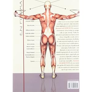 ANATOMÍA DEL EJERCICIO (En Forma/ in Shape)