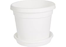 Cosmoplast Plastic Round Flowerpot 6” with Tray-P