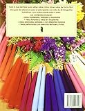 Image de GUÍA DEL PRINCIPIANTE PARA HACER VELAS (Color) (Libro Práctico)