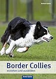 Image de Border Collies erziehen und ausbilden