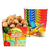 talla: 40 cl Amakando Bandejita de Piscolabis Fiesta de Verano - 40 Cl  Bandeja de Aperitivos Fiesta en Playa  Vajilla Desechable Fiesta de Caribe  Cuenco para Tentempié Fiesta Temática Hawái