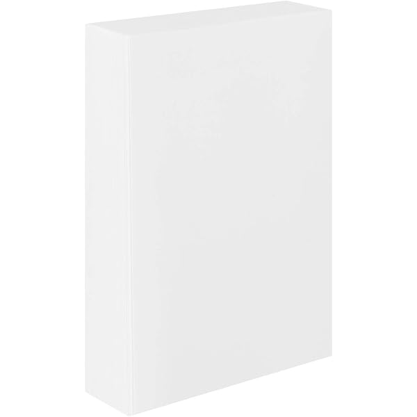 250 Sacs Kraft Brun 22x10x28cm - Écolos Et Résistants Pour Commerces Et Restaurants