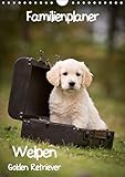 Familienplaner: Golden Retriever Welpen (Wandkalender 2015 DIN A4 hoch): Dieser Familienplaner mit 5 Spalten wird Ihnen jeden Monat erneut ein Lächeln ins Gesicht zaubern. (Monatskalender, 14 Seiten) by