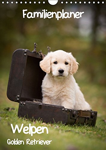 Familienplaner: Golden Retriever Welpen (Wandkalender 2015 DIN A4 hoch): Dieser Familienplaner mit 5 Spalten wird Ihnen jeden Monat erneut ein Lächeln ins Gesicht zaubern. (Monatskalender, 14 Seiten)