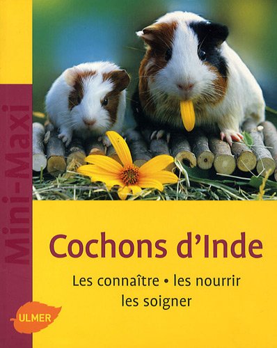 Cochons d'Inde