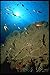 Produktbild 624015 Large Fans And Anthias Basslets A4 Photo Poster Print 10x8