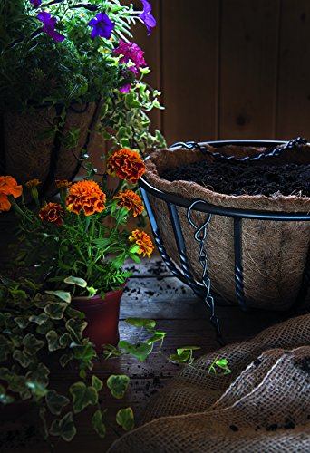 Gardman Schmiedeeiserne Blumenampel, 40 cm - 5
