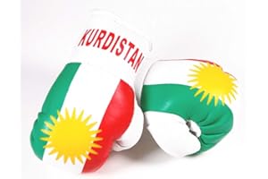 Doktor Hardstuff Mini Boxhandschuhe - Kurdistan