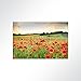 Produktbild LYSEL® Absorberbild - Mohnblumenfeld im Sonnenuntergang 80x60x5,5cm - Akustikbild Schallschlucker mit 50mm Schaumstoff aus Basotect® G+