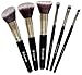 Kabuki Make Up Brush Set - Essential 6pc Travel Kit With Powder Eyeshadow Foundation Blush Brushes
