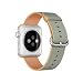 Produktbild APPLE 42mm Gold/Royal Blue Nylon Band