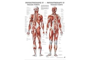 RDIGER- ANATOMIE GMBH Ruediger Anatomie MIPOPHYSIVLAM Triggerpunkte Tafel, 24 cm x 34 cm, laminiert