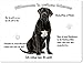 Produktbild Blechschild / Warnschild / Türschild - Aluminium - 20x30cm - - "Willkommen in meinem Zuhause" - Motiv: Cane Corso / Italienischer Mastiff schwarz -- 03
