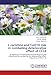 Produktbild L-carnitine and CoQ10 role in combating deteriorative effect of CCL4: -Hydroxy--Trimethylammonium Butyrate and Ubiquinone in combating the deteriorative effect induced by CCl4 in rat