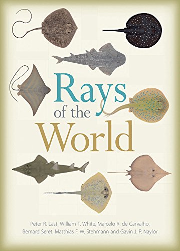 Télécharger Rays of the World Livre PDF Gratuit