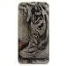 Produktbild Nancen Asus ZenFone 2 / ZE551ML (5,5 Zoll) Ultra Slim Weich TPU Material Design Silikon Handytasche Schutzhülle, Painted Mode Anti-Kratz Handyhülle Case Hülle Backcover Tasche