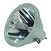 Price comparison product image Original Philips TV Lamp Replacement for Wildcat 997 3691 (Bulb Only)