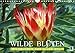 Produktbild Wilde Blüten: Wildblumen aus aller Welt (Wandkalender 2018 DIN A4 quer): Die wilden Schwestern unserer Gartenblumen und Topfpflanzen (Monatskalender, ... [Kalender] [Apr 01, 2017] CALVENDO, k.A.