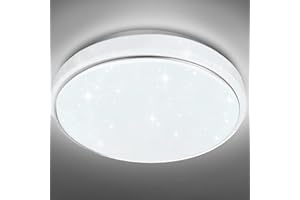 EXTRASTAR 24W LED Ceiling Light, 2500LM Super Bright LED Ceiling Light, 192W Equivalent, 6500K Cool Light Daylight Light for Living Room, Bedroom, Kitchen, Balcony, Office and More, Ø 380mm