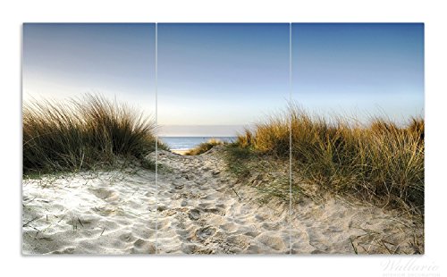 Herdabdeckplatte / Spritzschutz aus Glas, 3-teilig, 90x52cm, für Ceran- und Induktionsherde, Weg durch die Dünen zum Strand am Meer