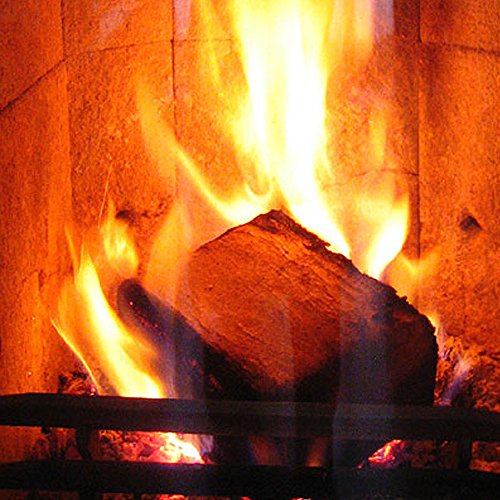 RUF Buchenbrikett Holzbrikett 100% Buche Buchenholz Brikett Hartholz ohne chemische Bindemittel (30kg) - 4