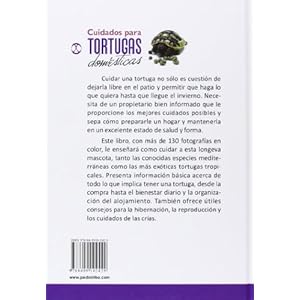 Cuidados Para Tortugas Domésticas (Animales de Compañía)