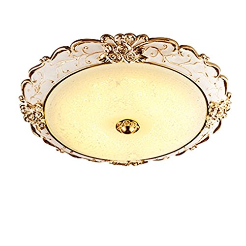Preisvergleich Produktbild Was Europäische Einfache LED Deckenleuchte Schlafzimmer Lampe Beleuchtung warm romantischen Wohnzimmer Lampen (Farbe: 30 Cm).