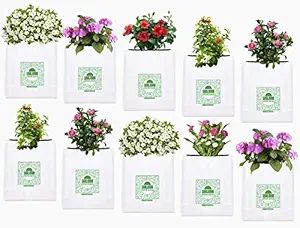 SHALIMAR Virgin Raw Material Grow Bag (Black, White, 20 x 20 x 35 cm)- 10 Piece