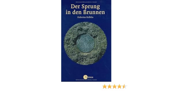 Amazon In Buy Der Sprung In Den Brunnen Eine Gebetsschule Book Online At Low Prices In India Der Sprung In Den Brunnen Eine Gebetsschule Reviews Ratings