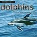 Produktbild The Sound of Dolphins