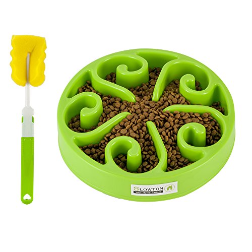 Slowton Slow Feeder Dog Bowl Slow Eating Dog Bowl Interactive