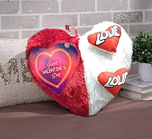 DreamVio Love Heart Shape Valentine Day Gift Fur Cushion,Plush Pillow for Gifting on Birthdays,Anniversaries Color - Red, White (Size- 17x17 inch) Shape 43