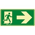 Normaluz Leuchtschild 'Exit' Mit Pfeil Rechts - 32x16 Cm, Klasse B, PVC 0,7 Mm (grün, Zertifiziert)