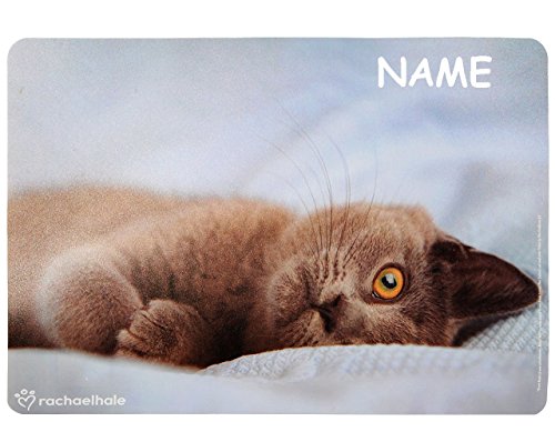 " Katze / Kätzchen " - Platzdeckchen & Unterlage - 43 cm * 30 cm - Eßunterlage - " Rachael Hale " / Mal & Bastel & Knet - Unterlagen - Platzset - Tischunterlage / Malunterlage / Knetunterlage - Haustier - Tiere - Katzen / Kater - Miezekatze - für Kinder & Erwachsene - Jungen Mädchen / kleine Schreibunterlage