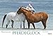 Pferdeglück 2016: PhotoArt Panorama Kalender by