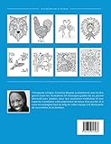 Image de Journal de Coloration Adulte: Anxiete (Illustrations D'Animaux, Chevron Aquarelle)