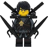 ninjago ninjacopter Verpackt in Druckverschlußbeutel