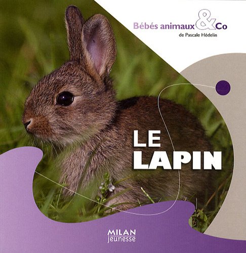 Le  lapin