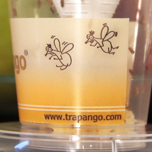 3x Fruchtfliegen-Lebendfalle Trapango®, (3er-Pack) - 8