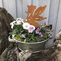 Gartenzaubereien Zinkwanne 3l wasserdichte Pflanzschale, Deko-Schale