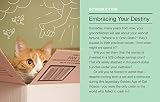 Image de How to Make Your Cat an Internet Celebrity: A Guide to Financial Freedom