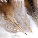 SODIAL(R) Natuerlich Dekoration Hahn Hahn Feder-Idee fuer Kostueme, Huete, Zuhause,Dekor,usw. - 