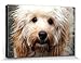 Produktbild 1art1 74512 Hunde - Süßer Cockapoo Poster Leinwandbild Auf Keilrahmen 120 x 80 cm