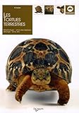 Les tortues terrestres